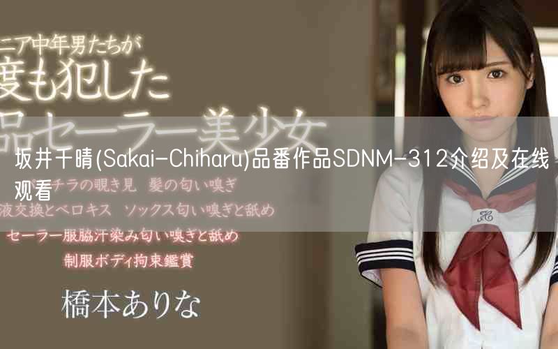 坂井千晴(Sakai-Chiharu)品番作品SDNM-31